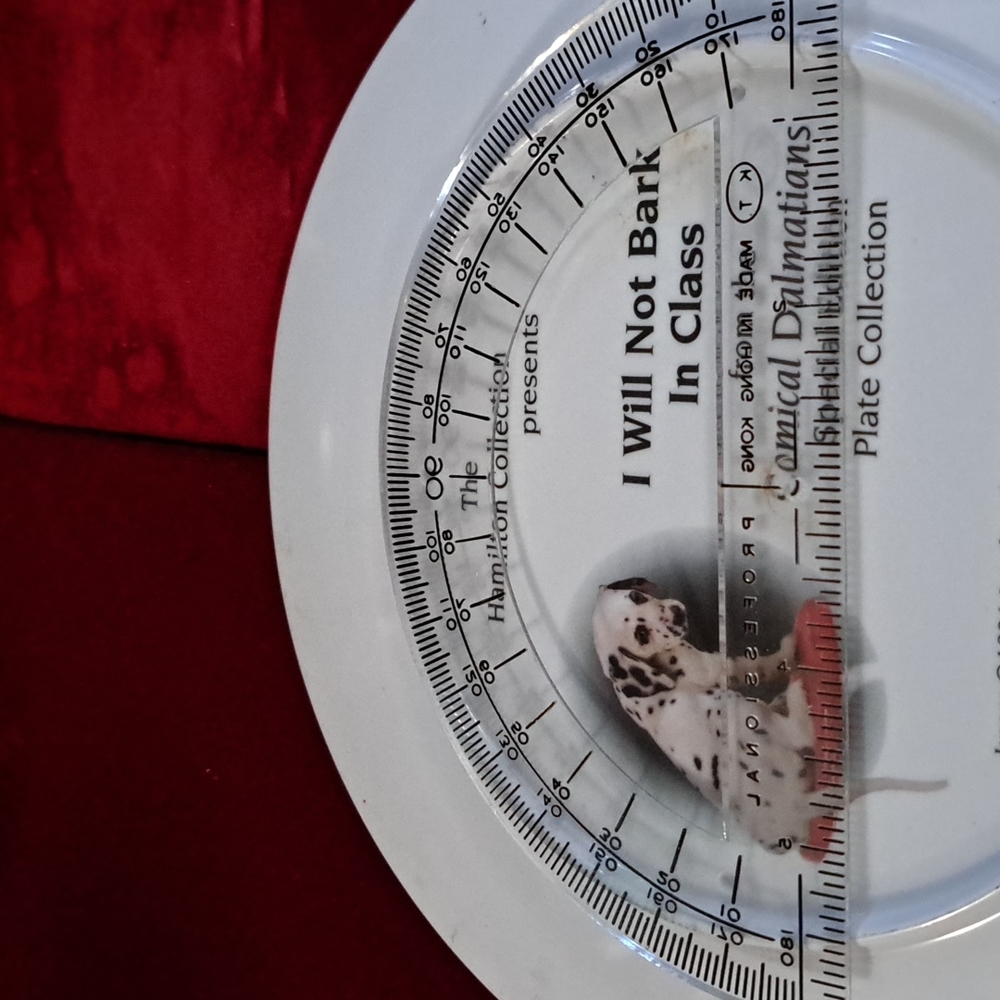 Hamilton Collection 1996 I will Not Bark In Class Plate - Picture 3 of 3